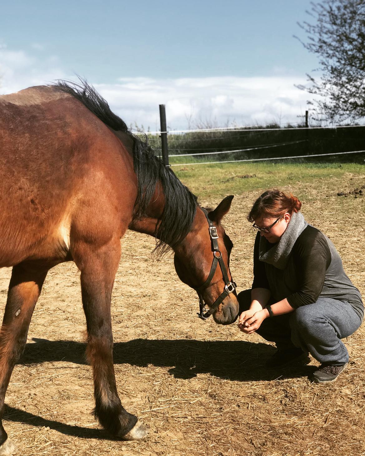 Traver Jovial Millpond billede 12