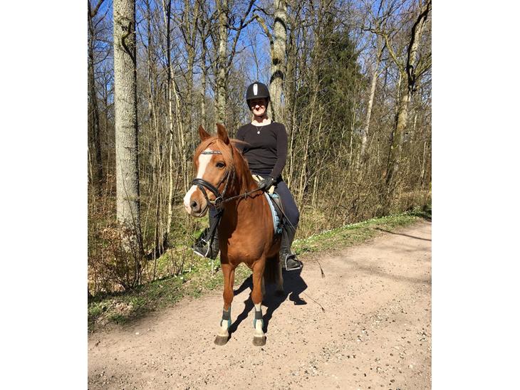 {{currentPhoto.altText}} billede {{currentPhoto.number}}