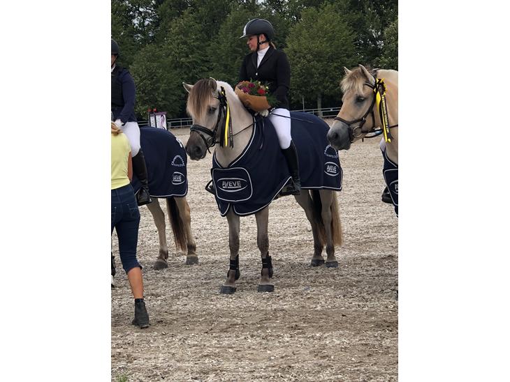 {{currentPhoto.altText}} billede {{currentPhoto.number}}