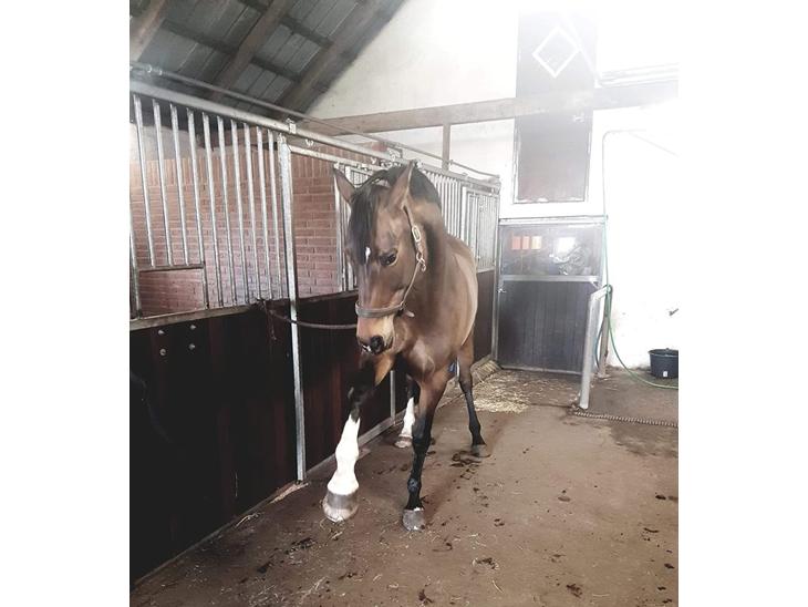 {{currentPhoto.altText}} billede {{currentPhoto.number}}