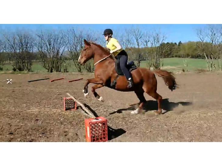 {{currentPhoto.altText}} billede {{currentPhoto.number}}