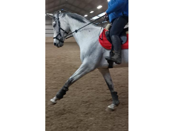 {{currentPhoto.altText}} billede {{currentPhoto.number}}