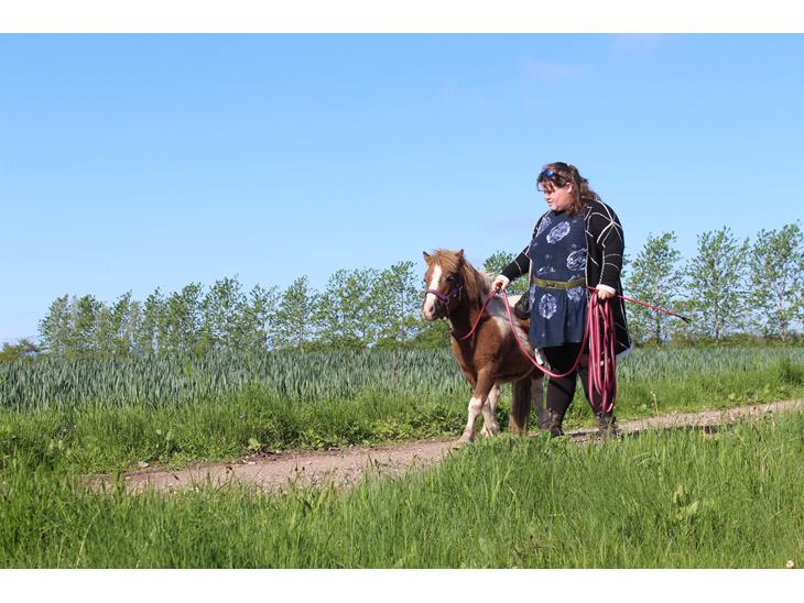 {{currentPhoto.altText}} billede {{currentPhoto.number}}