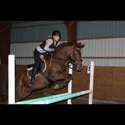 Anden særlig race Charlie