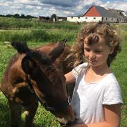 Anden særlig race Perfect Hope * Solgt *