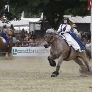 Belgier Beatrice af Skelmosegaard