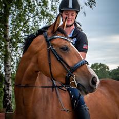 Dansk Varmblod Suzie Q