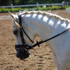 DSP Suna's Double Trouble