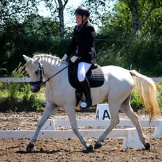 DSP Suna's Double Trouble