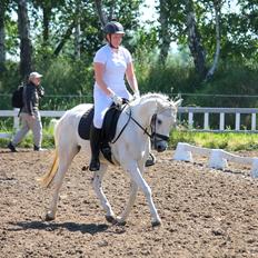 DSP Suna's Double Trouble