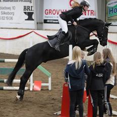 New Forest Skou's alexander