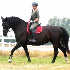 Anden særlig race wanilia