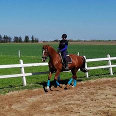 Frederiksborg Vestergårds meleisa