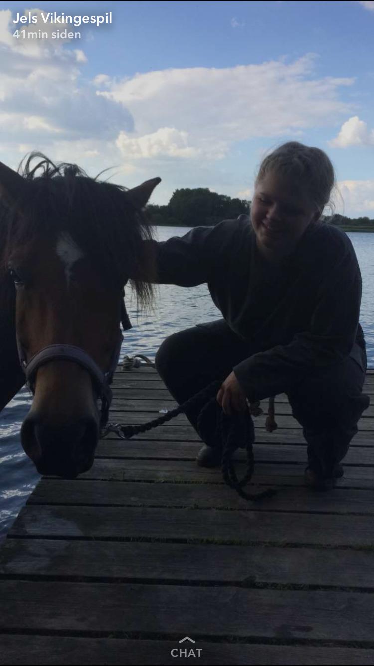 Anden særlig race Vedtoftes Duchess billede 11