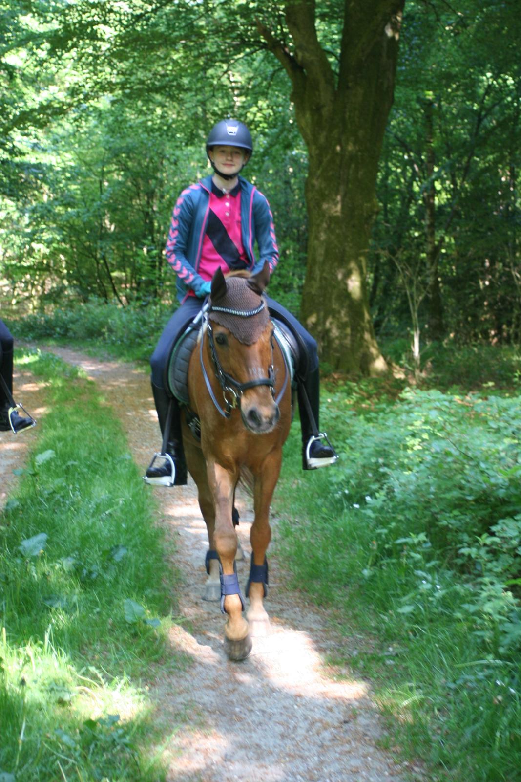 Tysk Sportspony Cognac - En dejlig skovtur, dem elsker både Conny og jeg! :-D billede 1