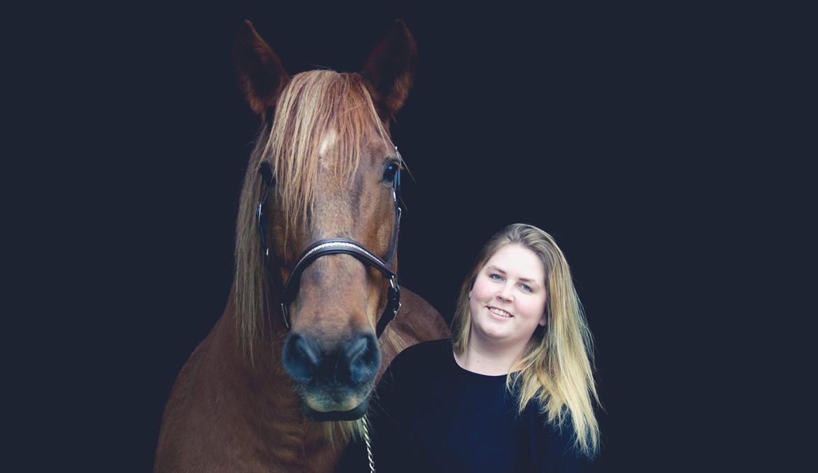 Schleswiger William billede 15