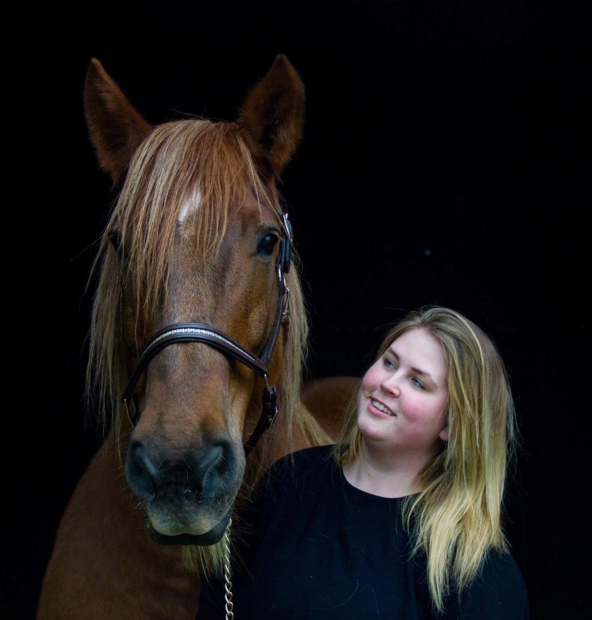 Schleswiger William billede 14