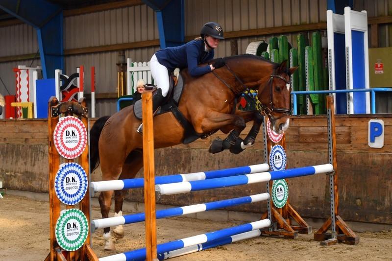 Dansk Varmblod Lotus royal billede 15