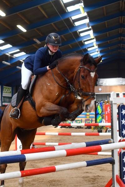 Dansk Varmblod Lotus royal billede 19