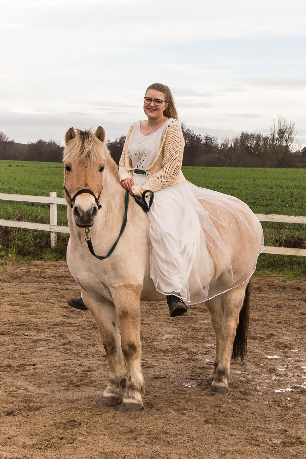 Fjordhest | Odin Møldrup | Hotte  - Ingen hvid kjole uden hestehår billede 1