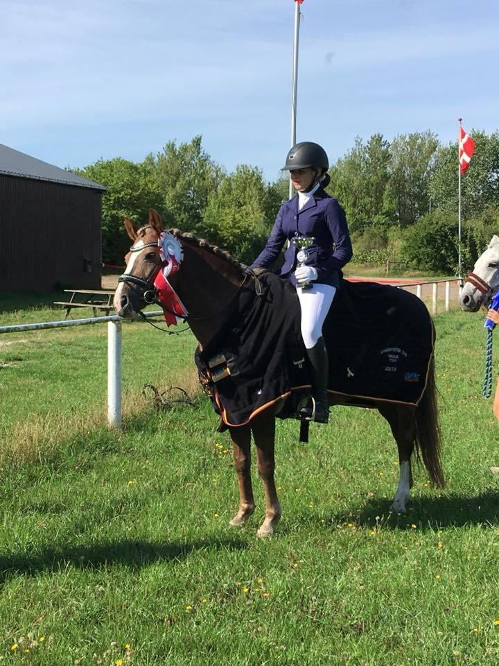 New Forest Firfod Flittiglize billede 15