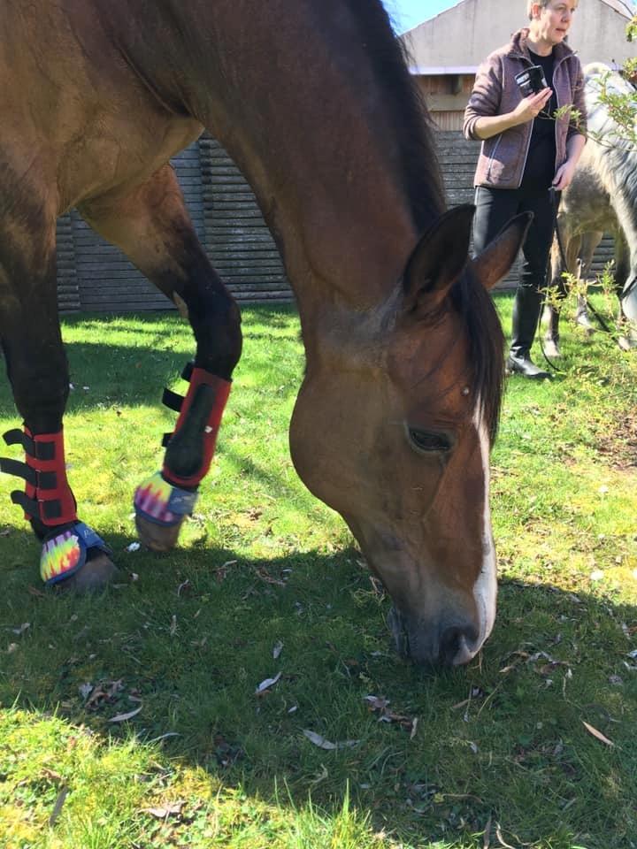 Oldenborg Korea billede 5