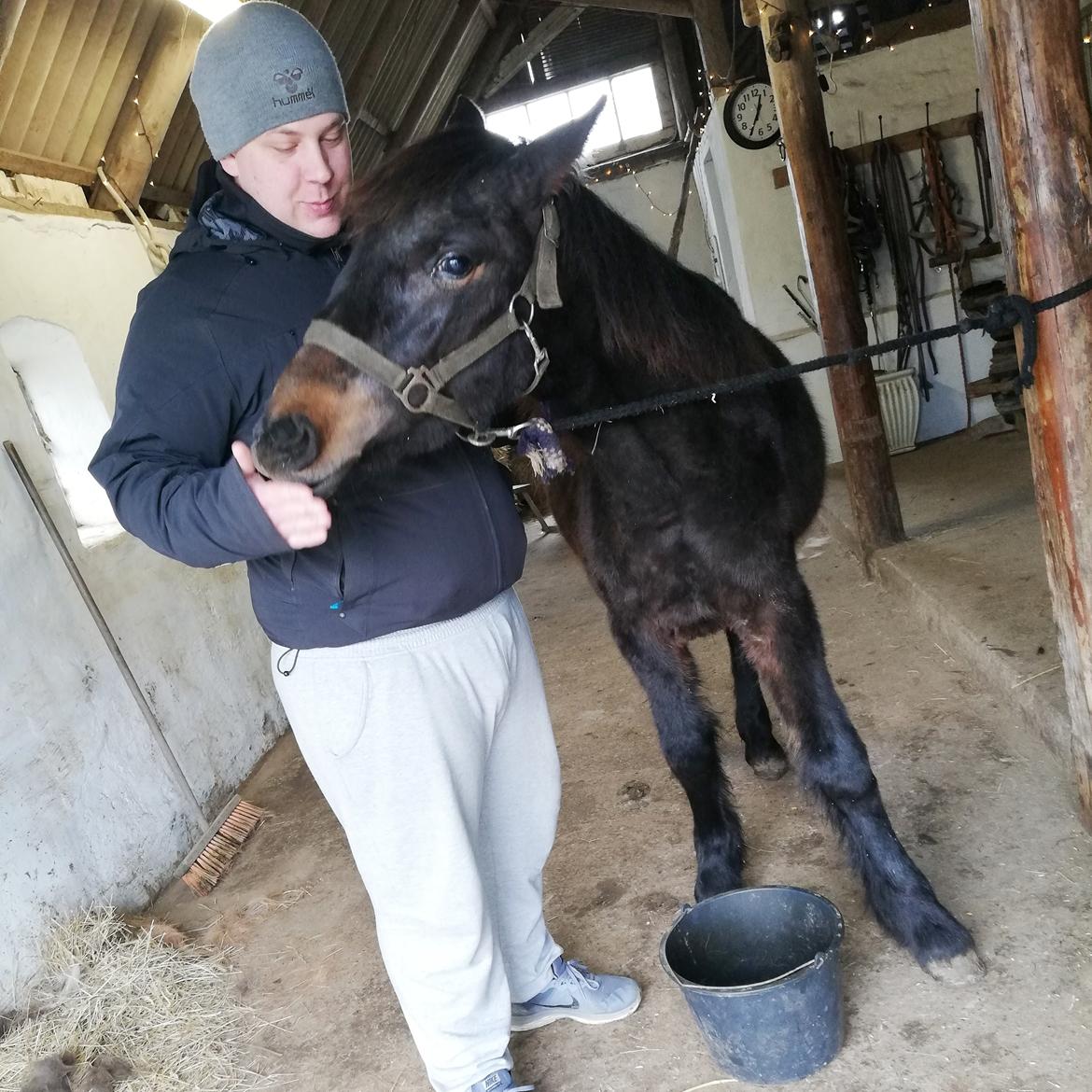 Anden særlig race Lola  billede 16