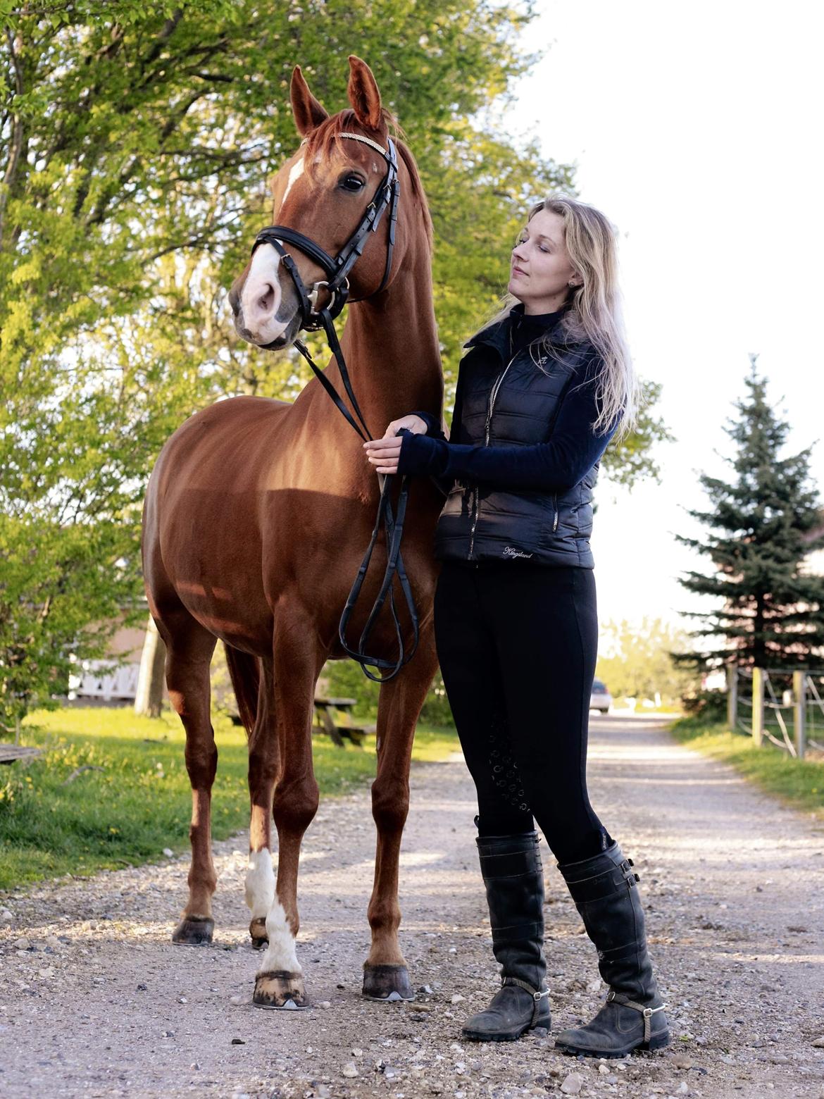 Anden særlig race Magnolias Jessica billede 15