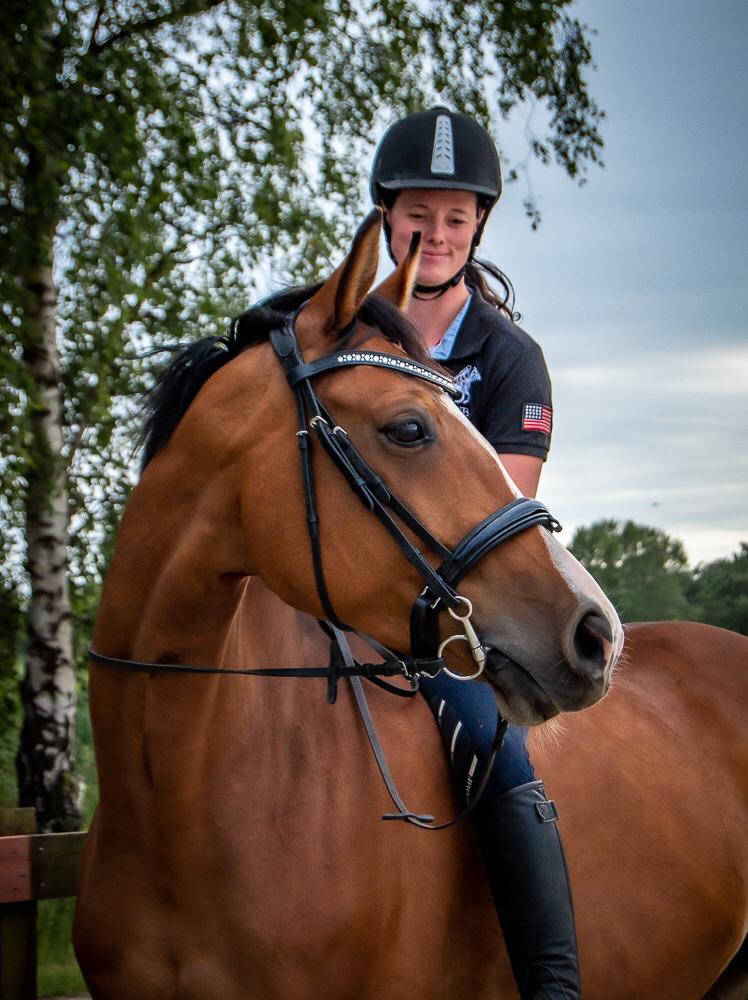 Dansk Varmblod Suzie Q billede 2