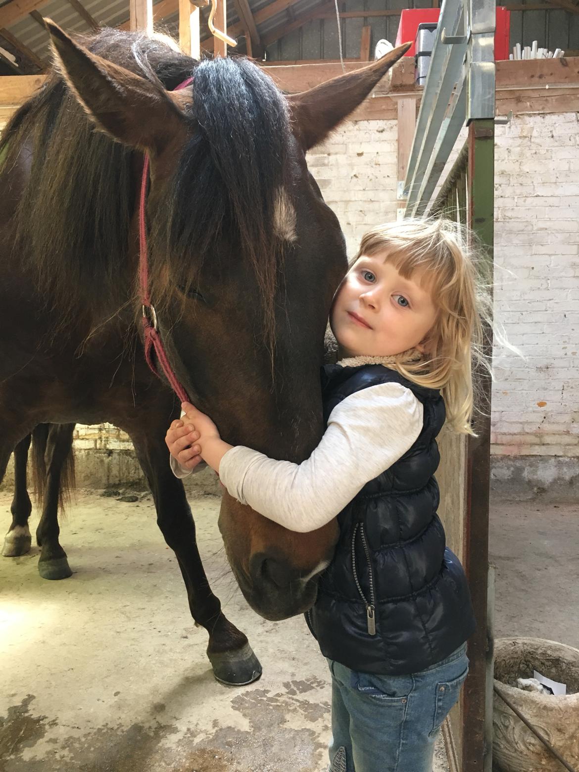 Cruzado Alba Aquilegia (Solgt) billede 18