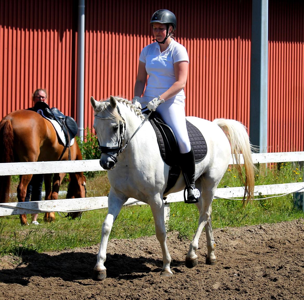 DSP Suna's Double Trouble billede 4