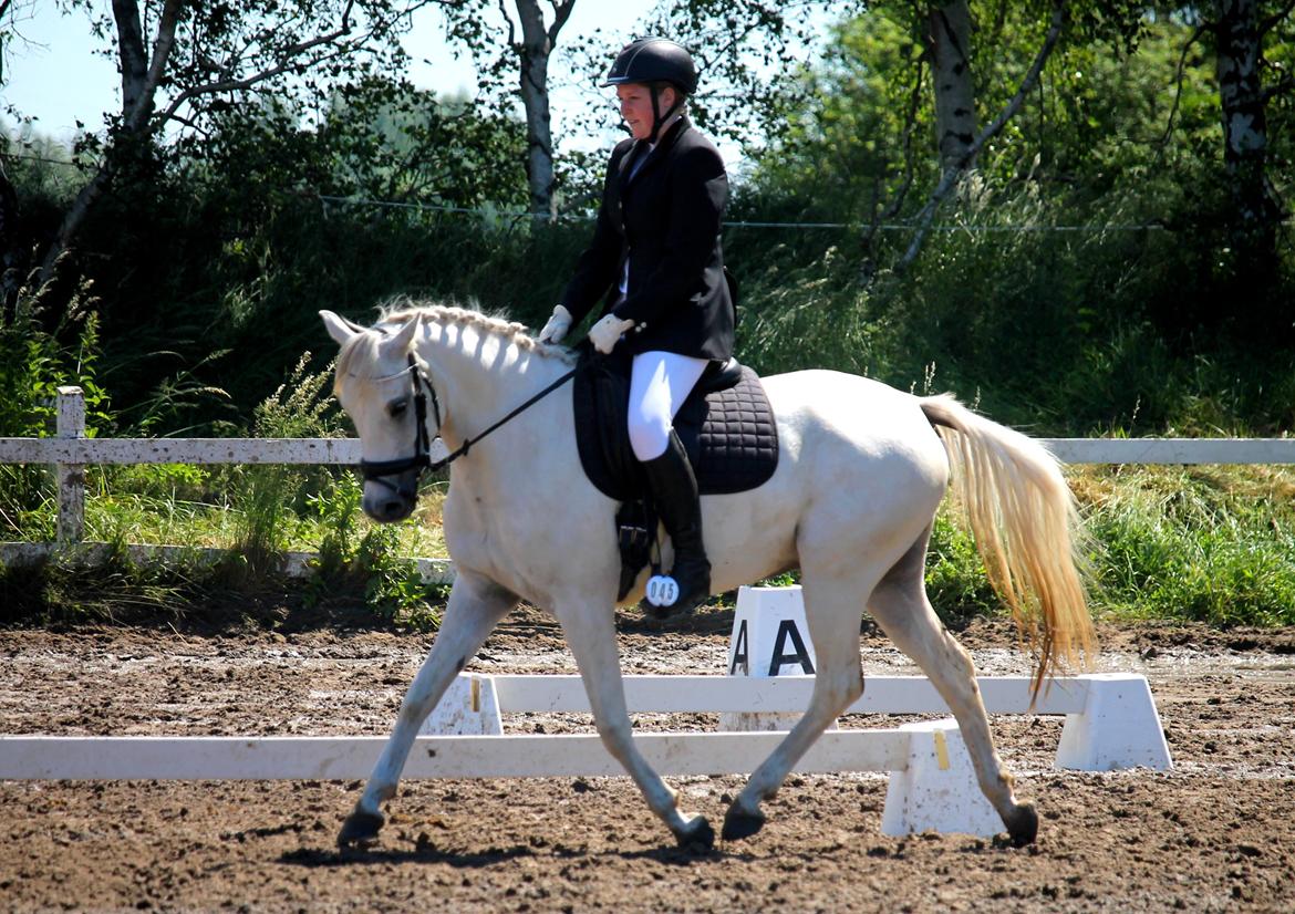 DSP Suna's Double Trouble billede 1