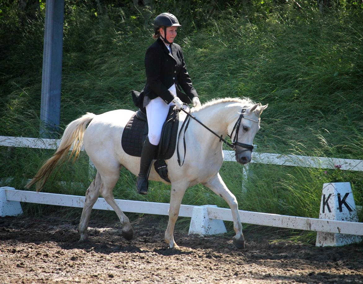 DSP Suna's Double Trouble billede 5