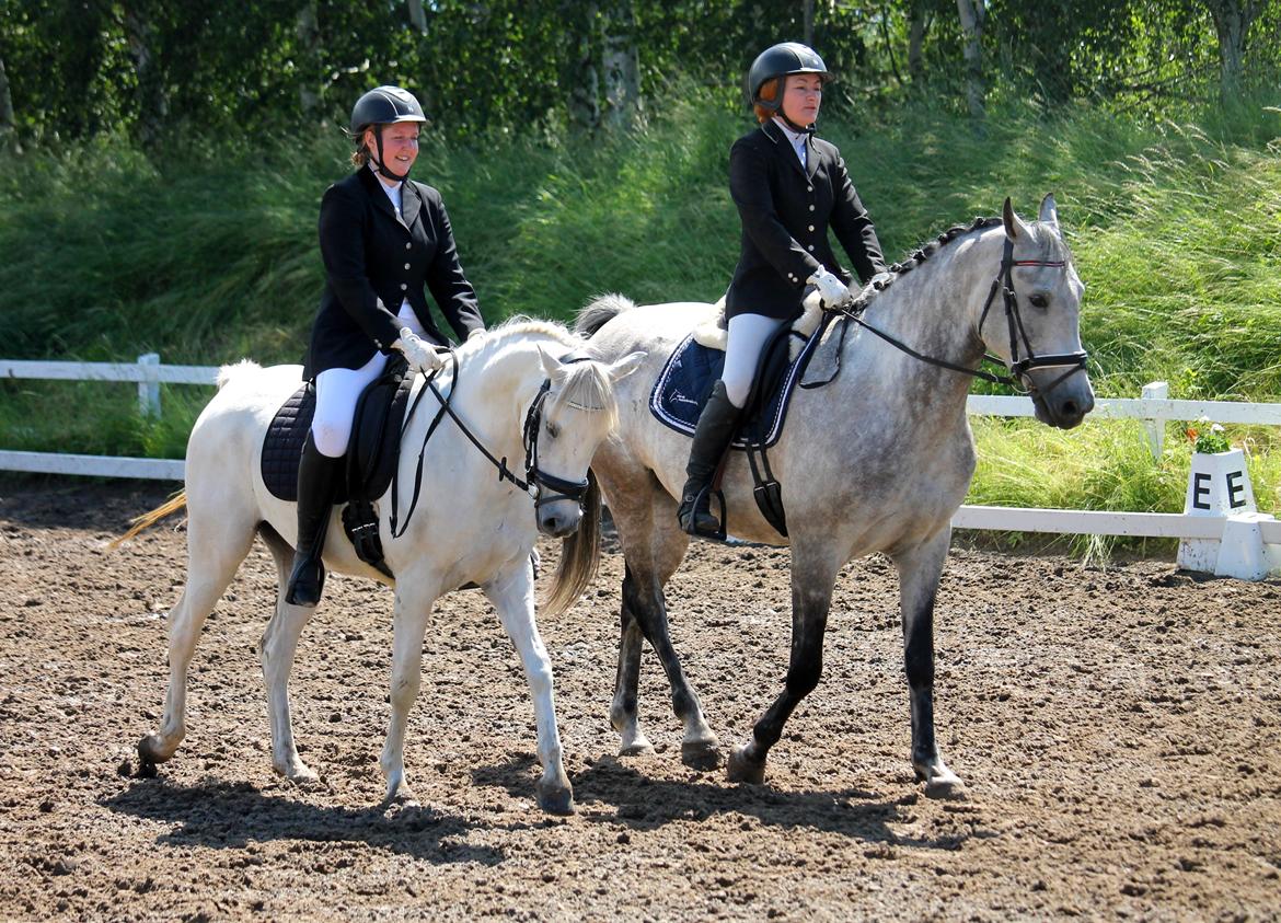 DSP Suna's Double Trouble billede 7