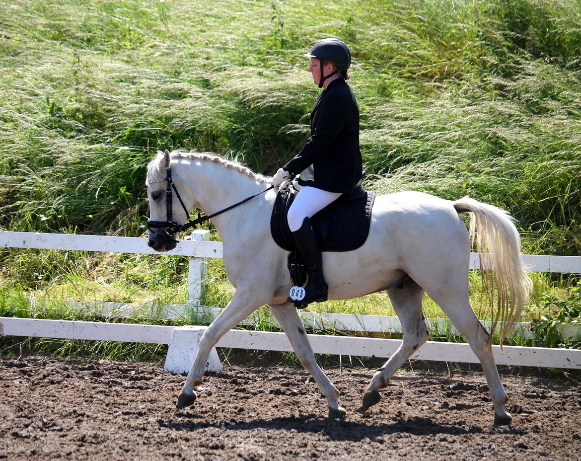 DSP Suna's Double Trouble billede 6