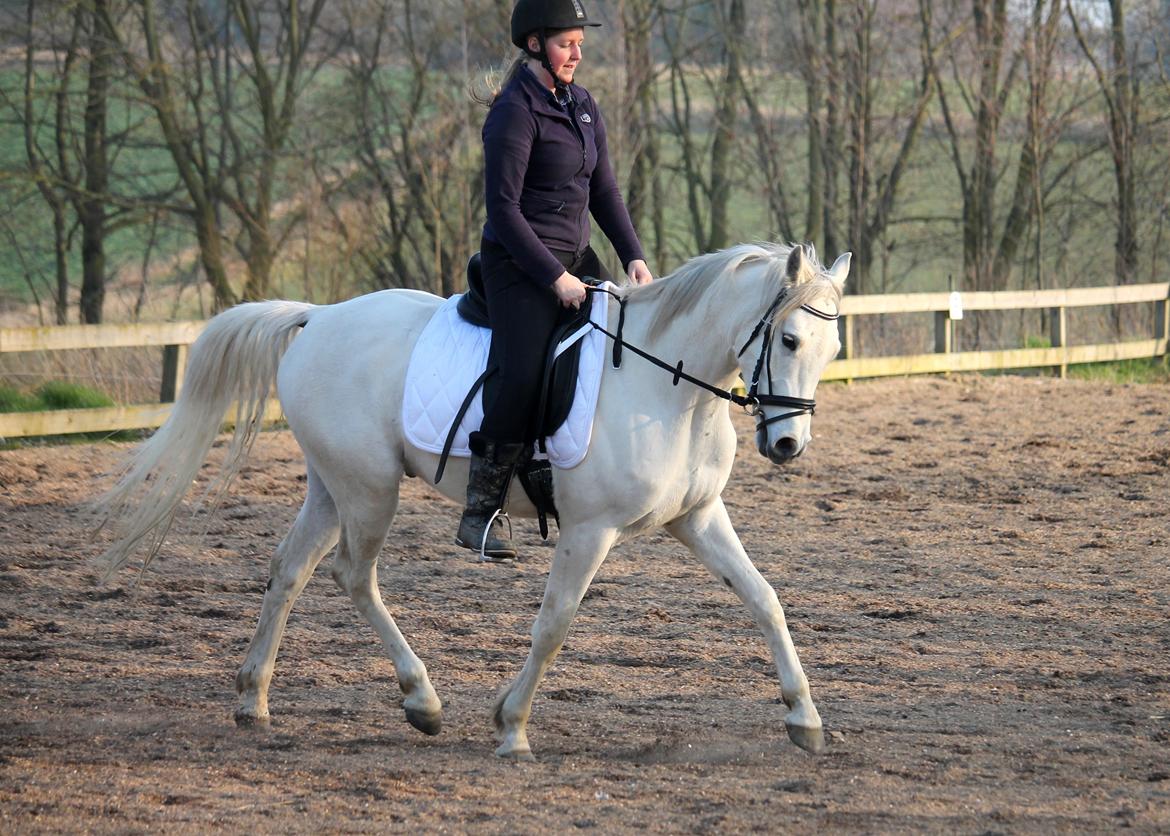 DSP Suna's Double Trouble billede 9