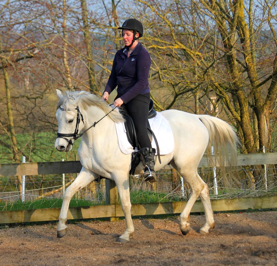 DSP Suna's Double Trouble billede 11