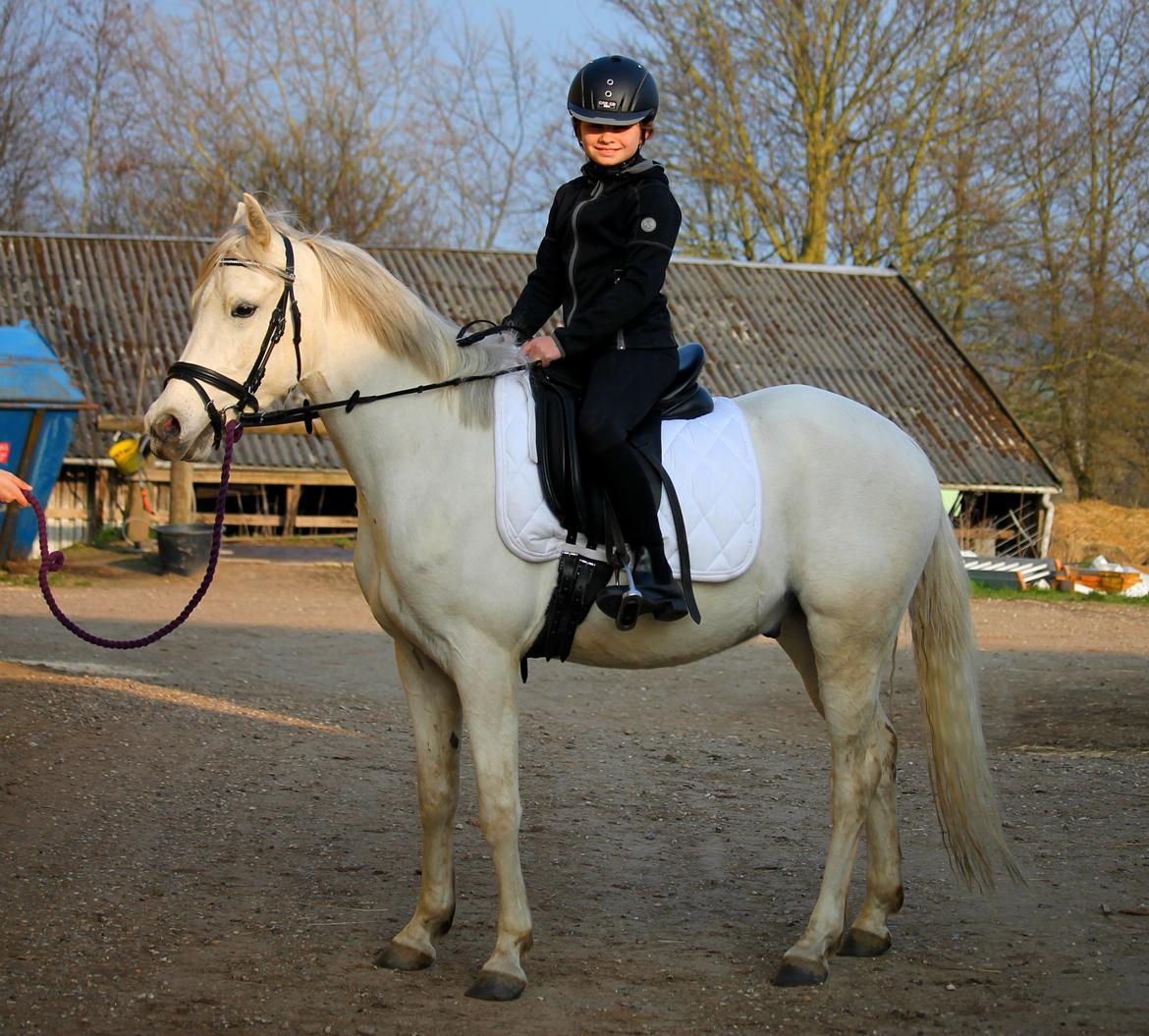 DSP Suna's Double Trouble billede 12