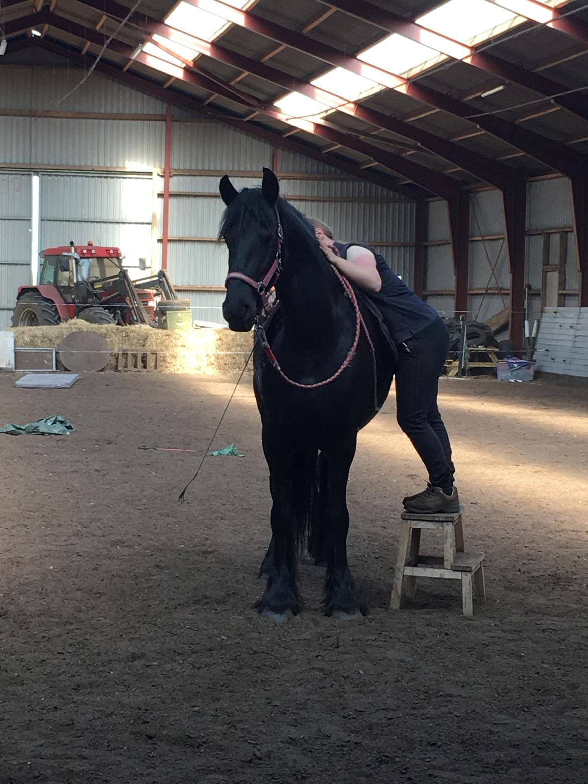 Frieser Melody K billede 13