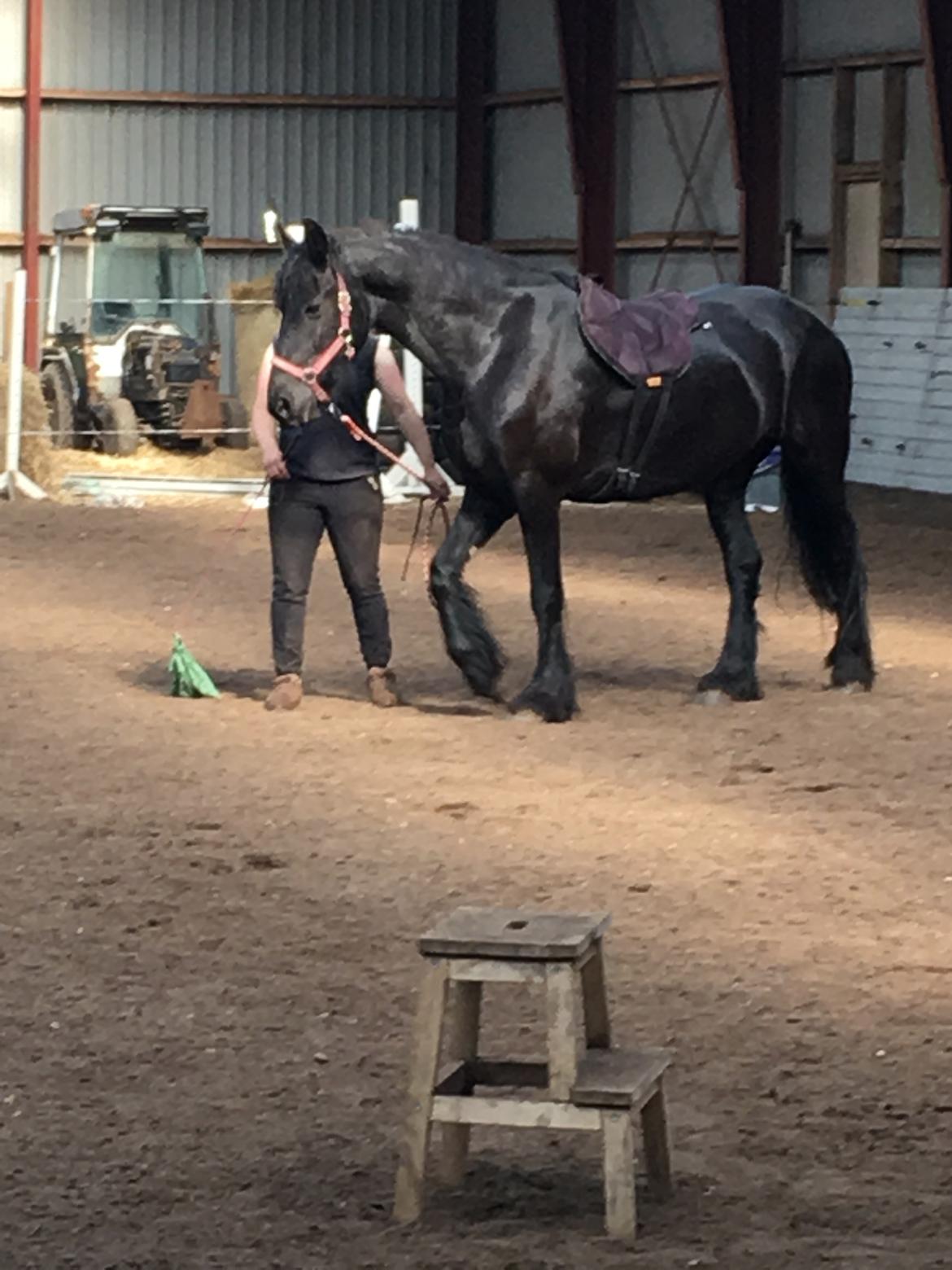 Frieser Melody K billede 12