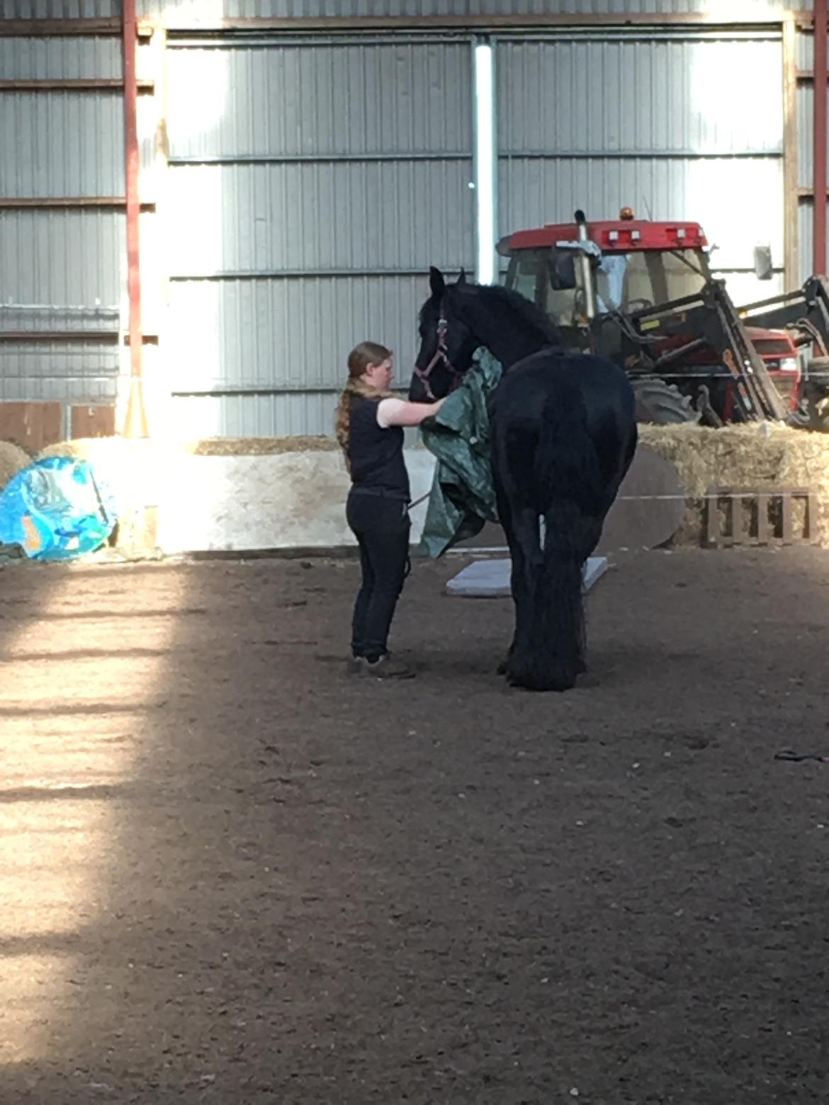 Frieser Melody K billede 14