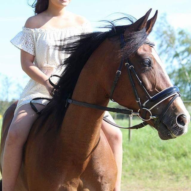 Anden særlig race Monsours Destiny 2 (født Blue Eyes Destiny) billede 3