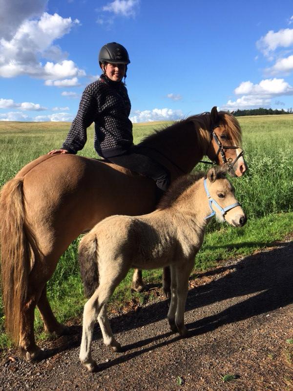 Islænder Ragnar fra Runesvinget billede 15