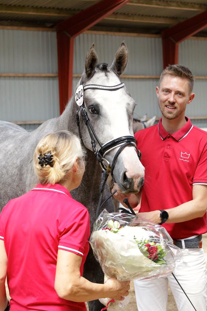 Dansk Varmblod Mayflower - Mayflower til 2 års bedømmel hvor hun gik fløj og blev udtaget til eliteskue billede 15