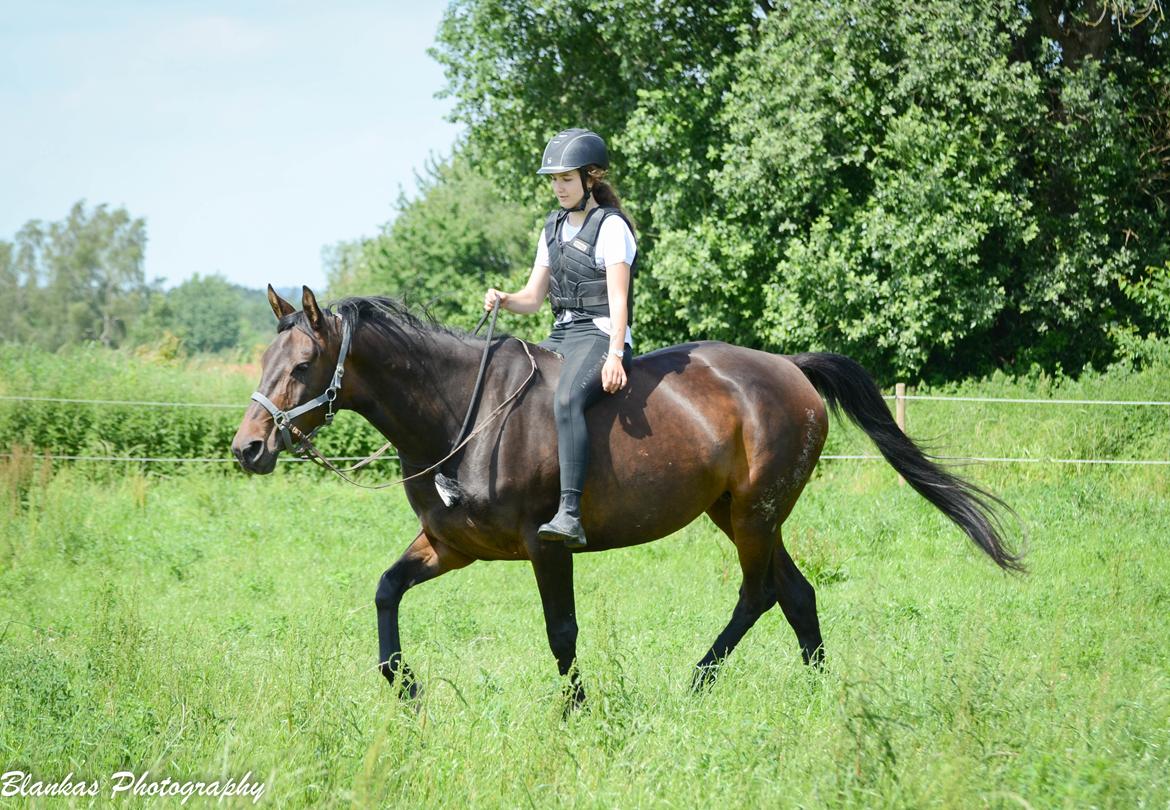 Anden særlig race | Madonna - ♥ Juni 2019. billede 5