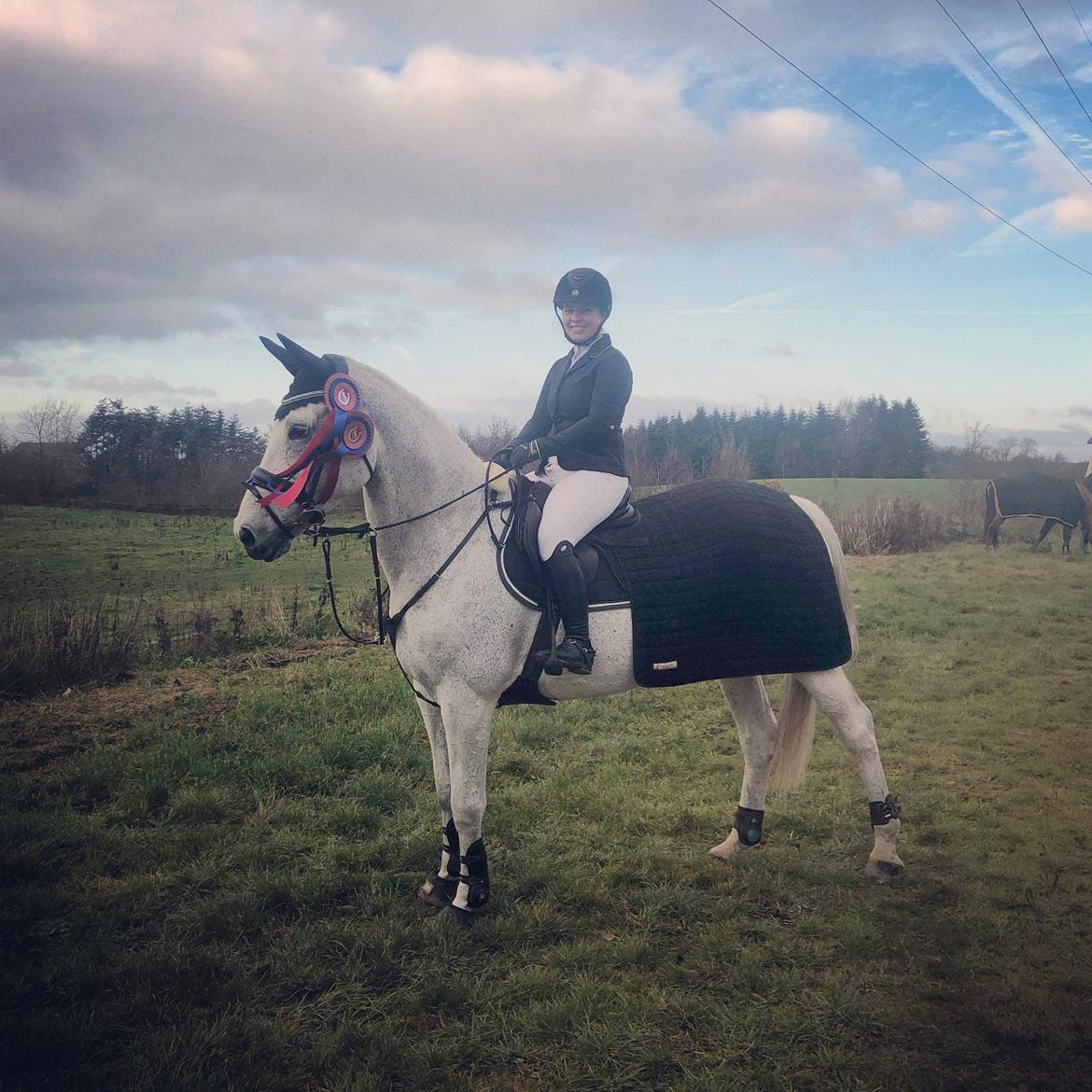 Holstener Rhea castellina - Stævne nov. 2018 billede 8