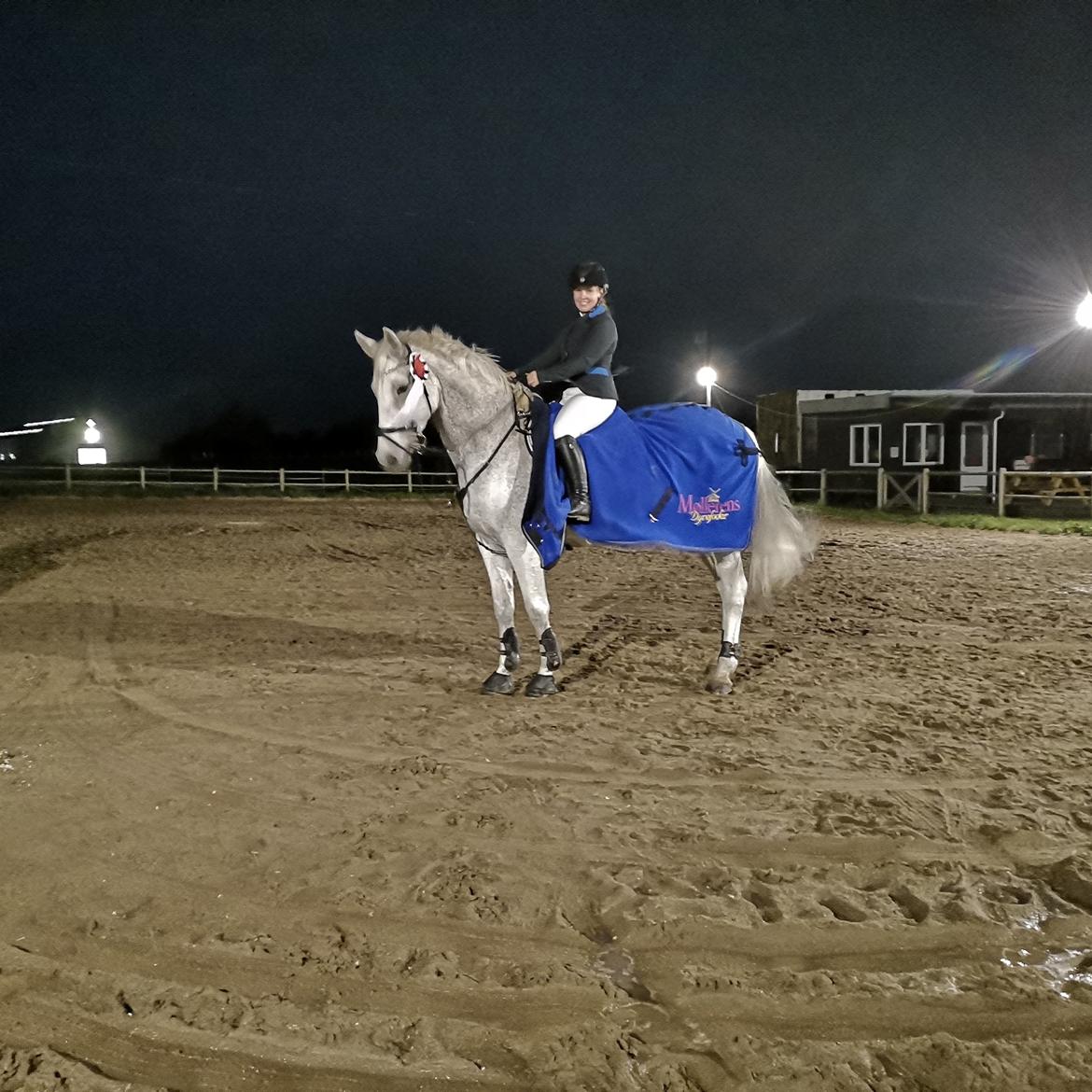 Holstener Rhea castellina billede 10