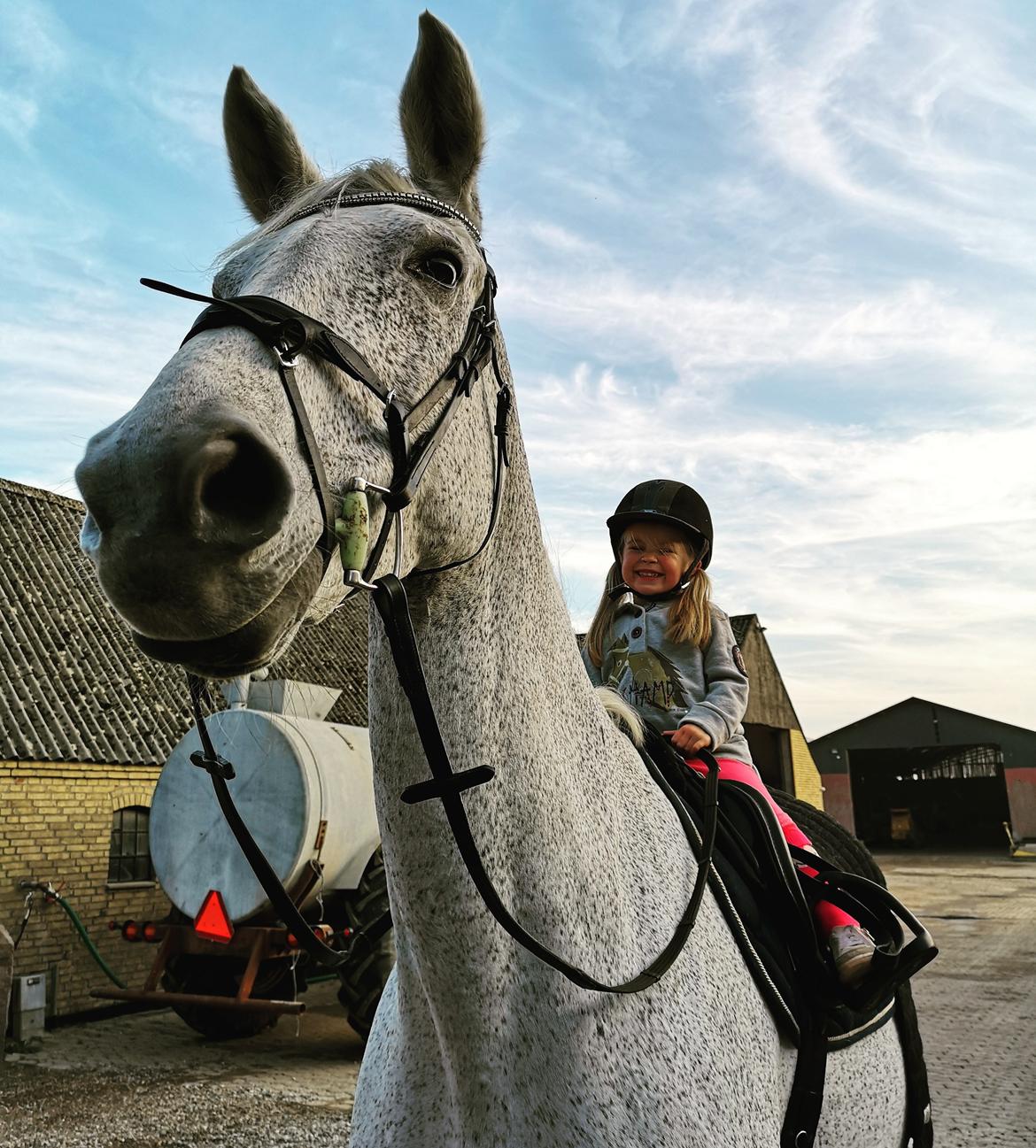 Holstener Rhea castellina - Avaiay Marie og Rhea billede 14