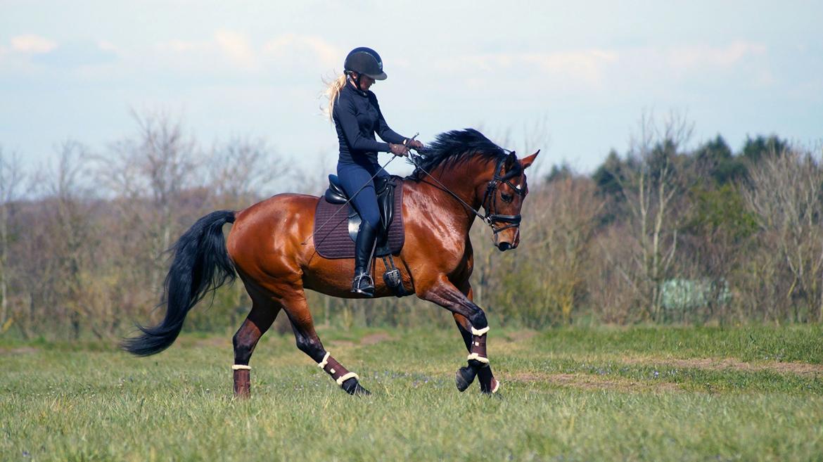 Anden særlig race Hanuzka - Velkommen til Hanuzka´s profil  billede 1