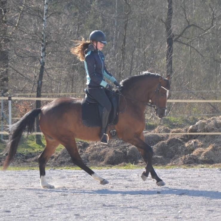 DSP Jq café latte hit billede 6